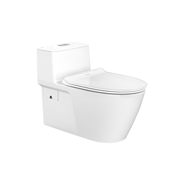 Acacia SupaSleek One-Piece Toilet (CL20075-6DASGCBT)