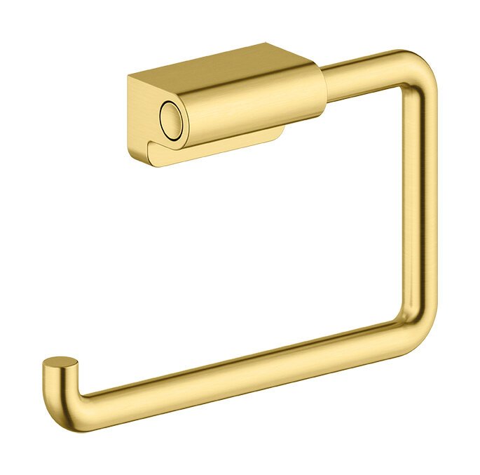 Hand Shower brushed brass