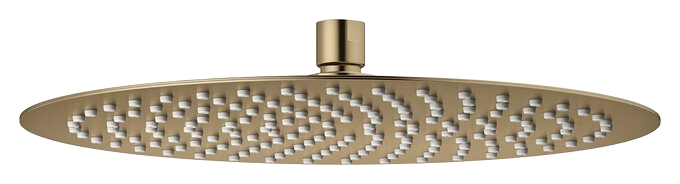 Head Shower brushed bronze
