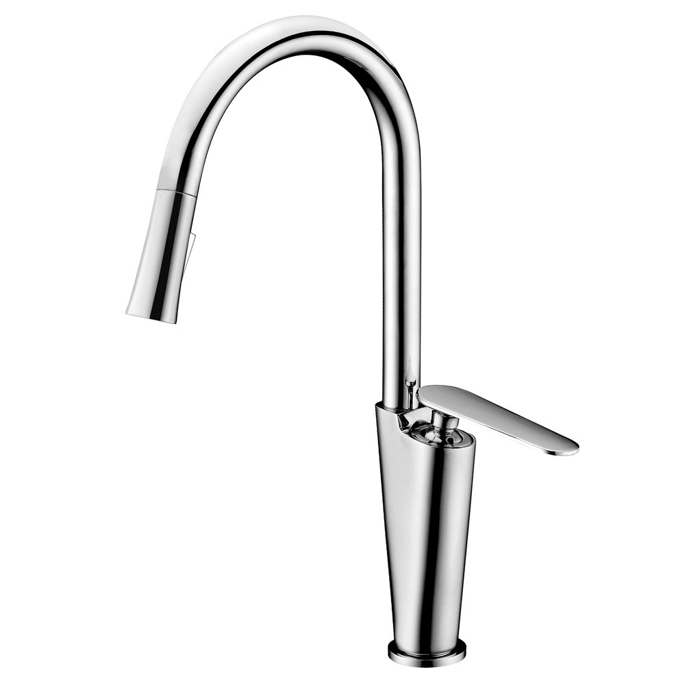 AB27 3602C Kitchen Faucet