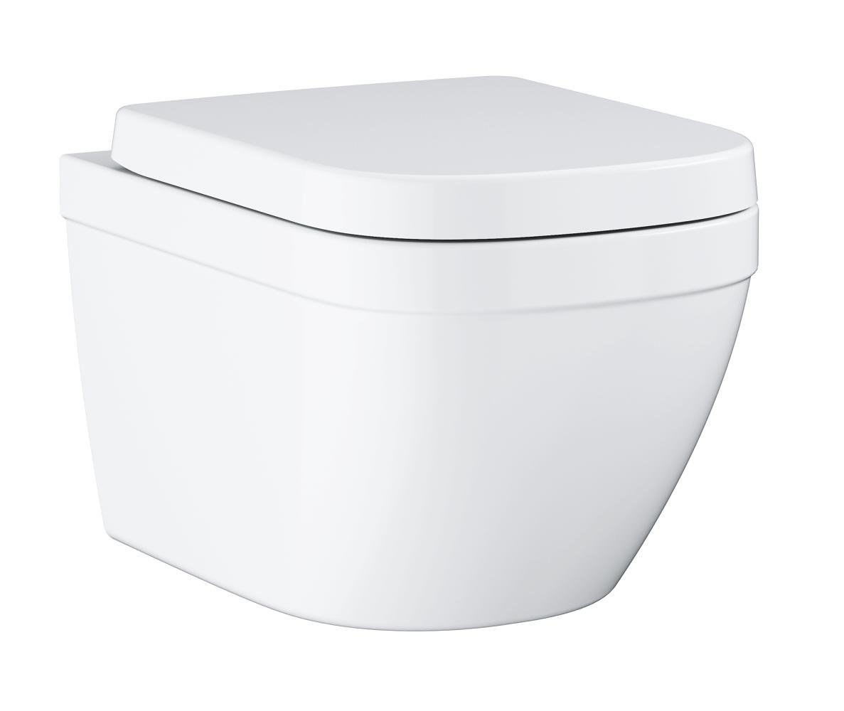 Wall hung WC