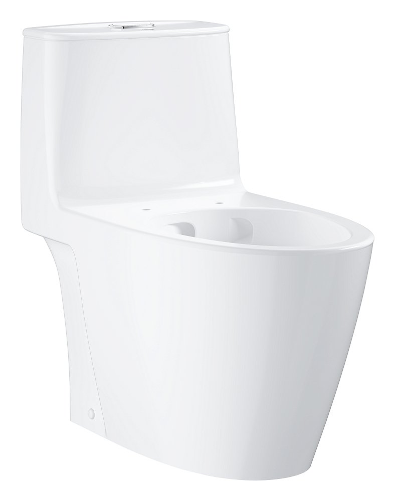 Floor standing one piece toilet without seat and cover