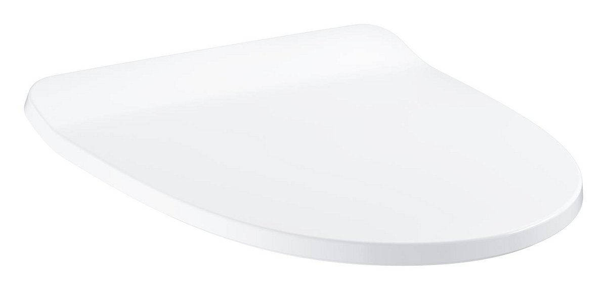 WC seat and lid