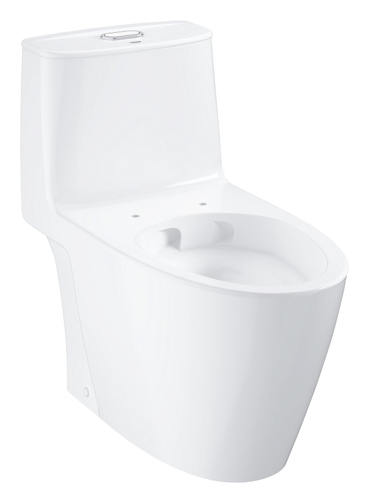 Floor standing one piece toilet without seat and cover