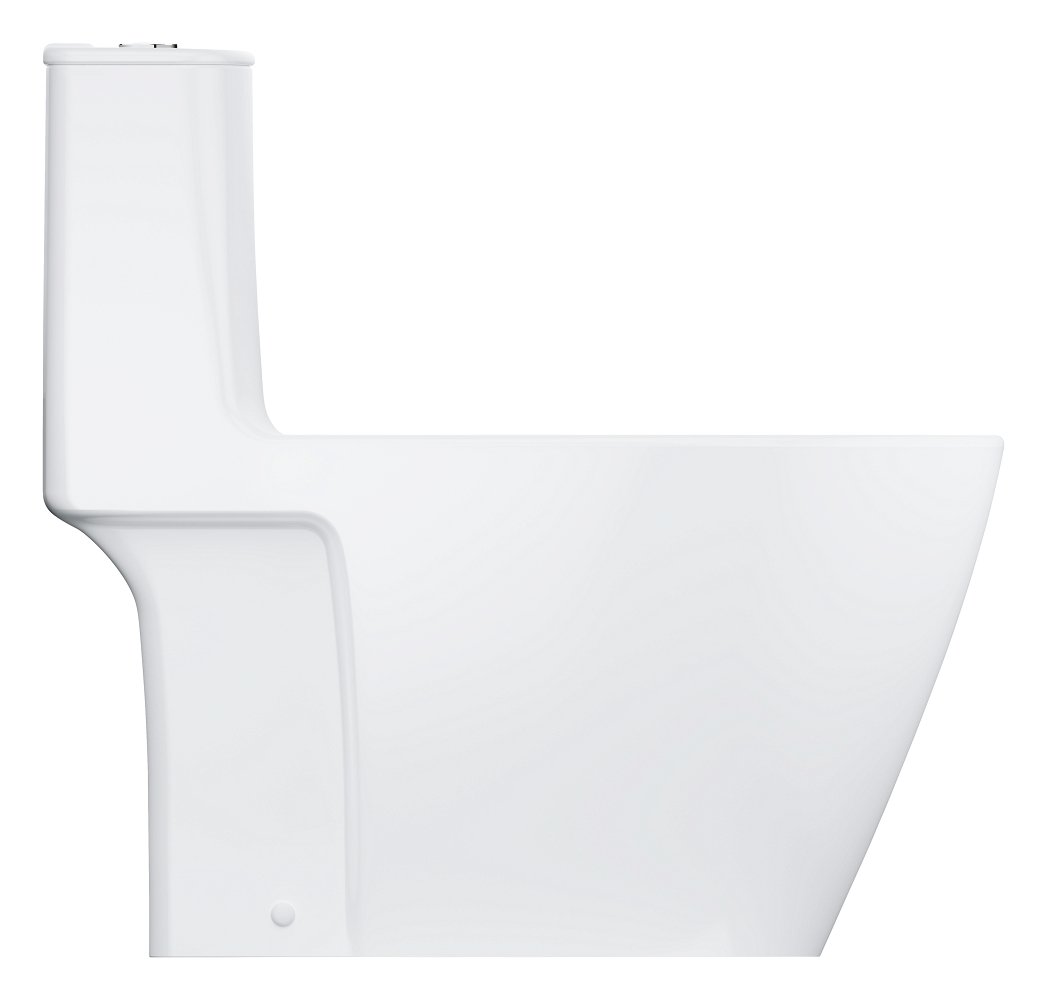 Floor standing one piece toilet without seat and cover