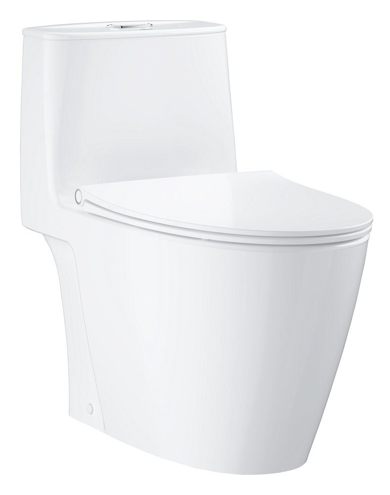 Floor standing one piece toilet without seat and cover