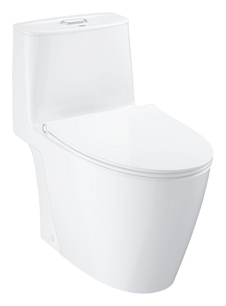 Floor standing one piece toilet without seat and cover