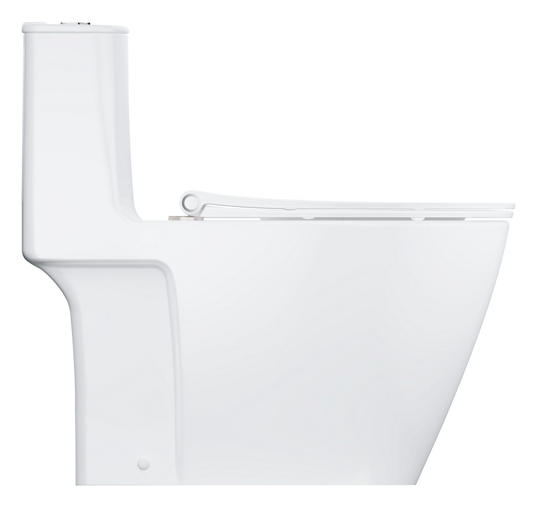 Floor standing one piece toilet without seat and cover