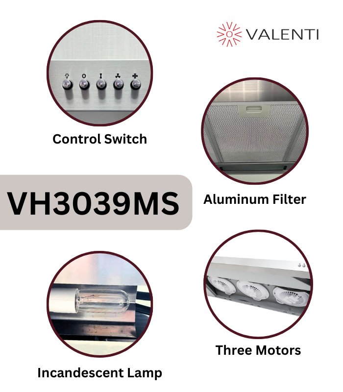 VH3039MS