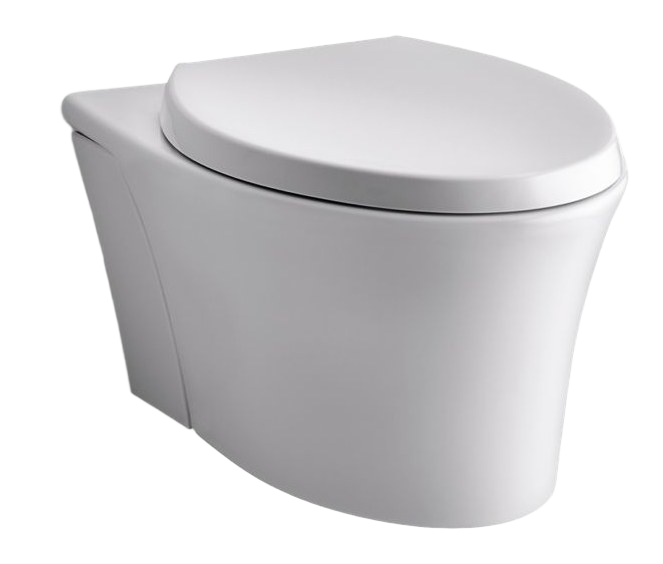 Wall Hung Toilet Bowl
