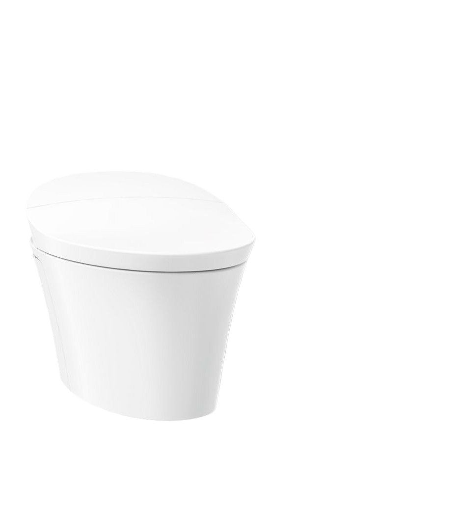 Wall-hung compact elongated smart toilet bowl, dual-flush