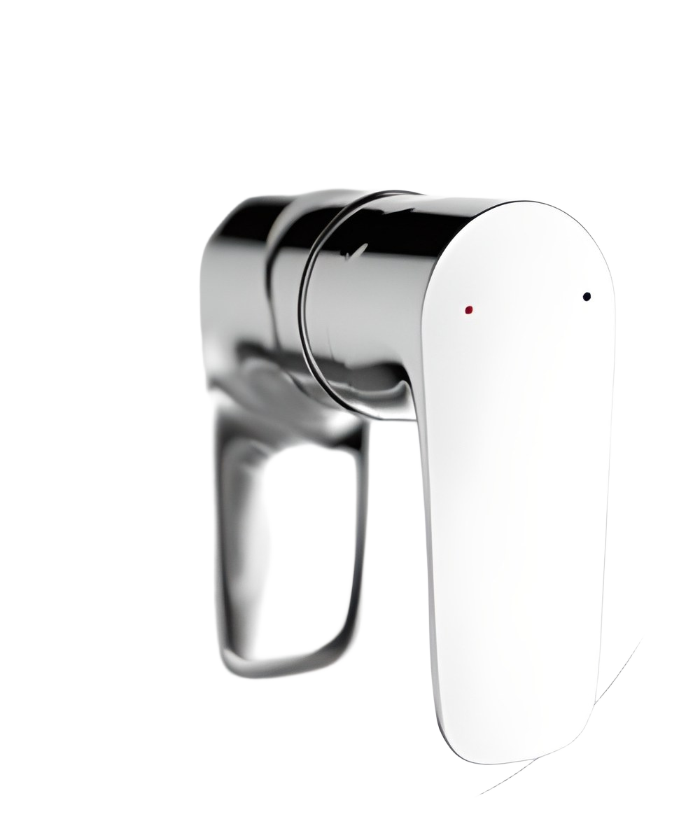 Polished Chrome